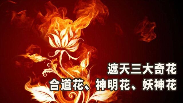 遮天三大比不死药还神秘的奇花,合道花、神明花、妖神花