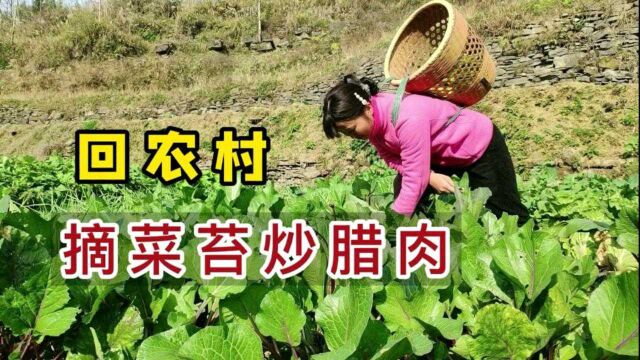 【菜苔炒腊肉】农村人最有灵魂的家常菜之一