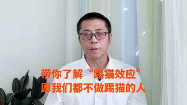 带你了解“踢猫效应”,愿我们都不做踢猫的人