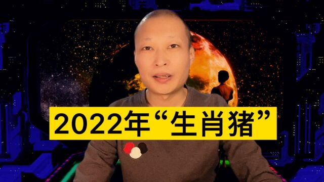 2022年“生肖猪”十二生肖!来看看