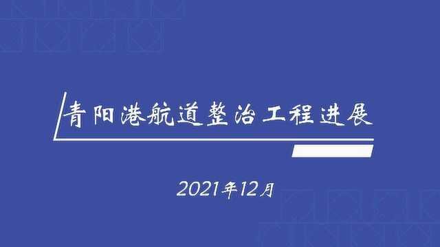 青阳港航道整治工程进度