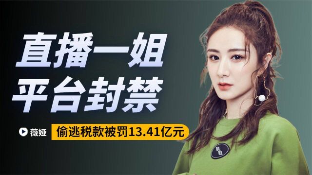 官方点名通报!薇娅偷逃税13.41亿彻底翻车,背景挖出后让人震惊