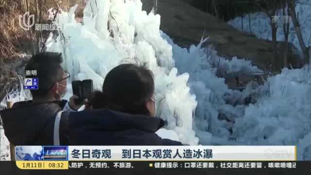 冬日奇观 到日本观赏人造冰瀑