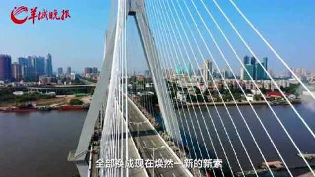 【视频】这150天,鹤洞大桥经历了什么?