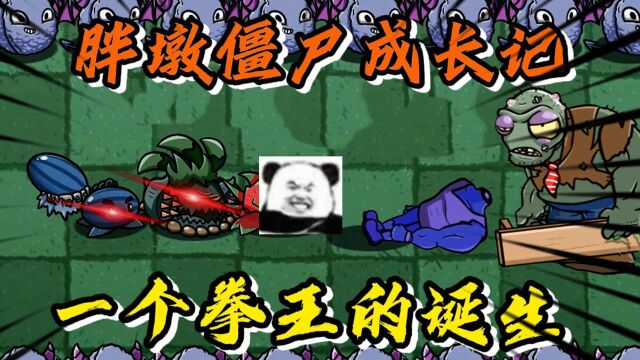 PVZ故事;一个拳王是怎样诞生的,小伙伴们让我们一起来看看