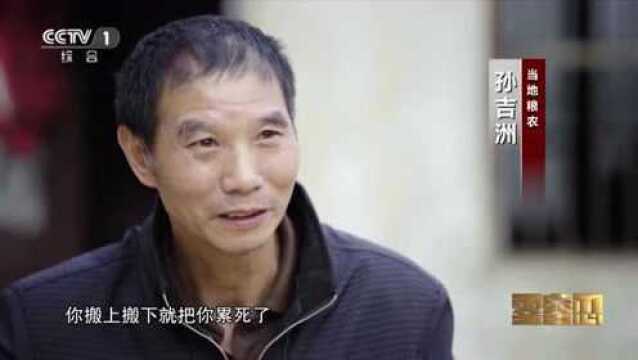 党风廉政 | 电视专题片《零容忍》第二集:《打虎拍蝇》