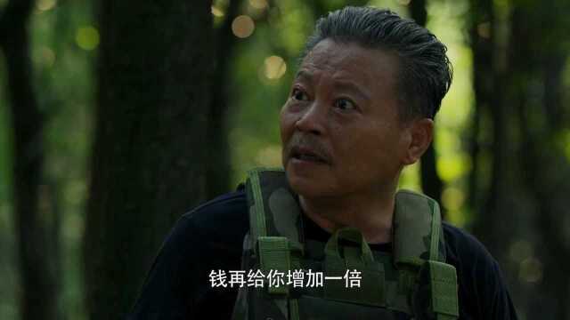 沈长城牺牲……k2集团覆灭