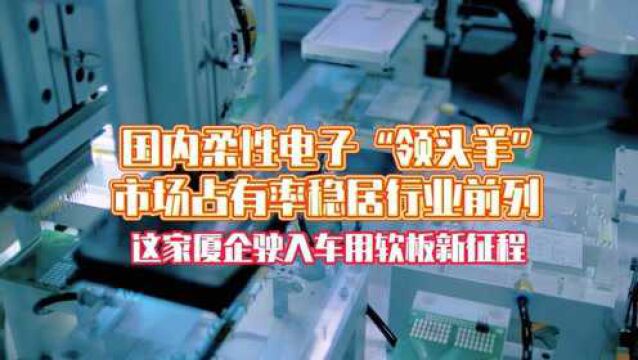 走进厦门高新企业|国内柔性电子“领头羊”,市场占有率稳居行业前列!这家厦企驶入车用软板新征程!