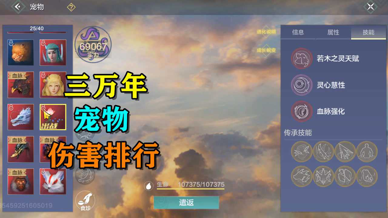 妄想山海:三万年宠物到底谁打怪快?后期宠物伤害排行