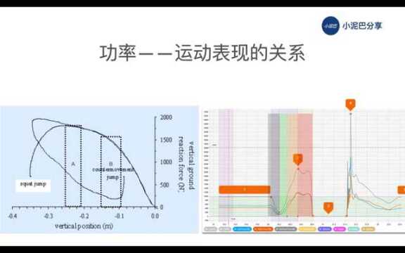 精英训练技术课程|体能训练中的生物力学基础(2)