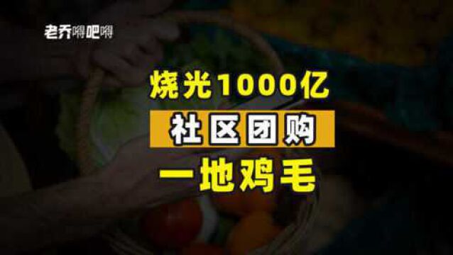 1年烧光1000亿,社区团购的“大败局”