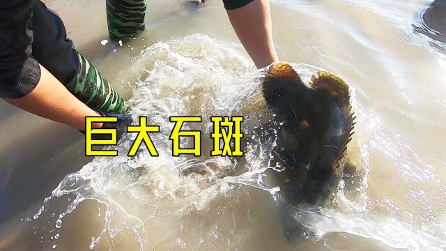 第一次盘新海域700平新坑,暗藏巨大石斑,海鲜连抓不停运气太好了