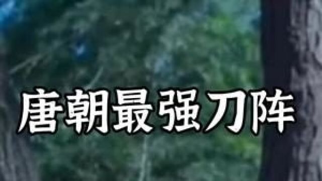 唐朝最强刀阵––陌刀队 #历史