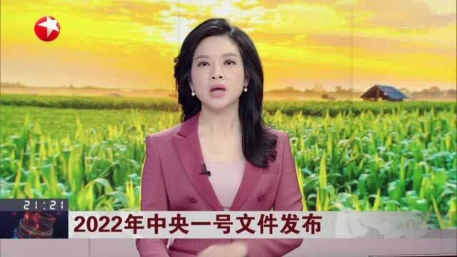 2022年中央一号文件发布