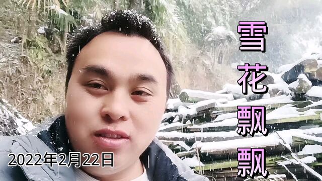 2022年2月22日,贵州山里雪花飘飘,雪景太美了