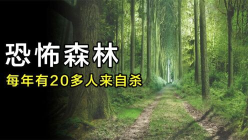 日本自杀森林青木原每年有20多人来这里自杀