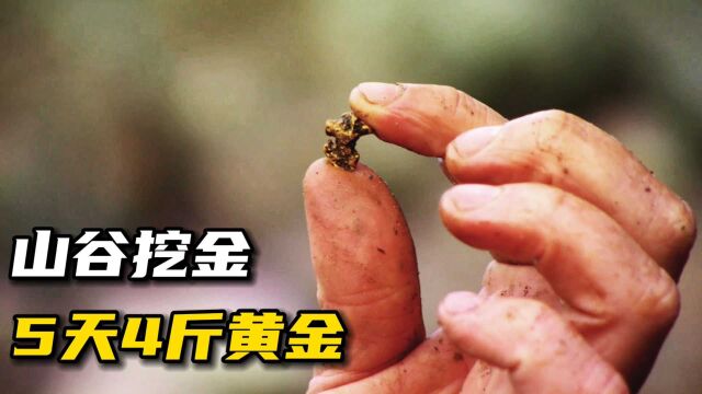 山谷淘金:大佬5天收获4斤黄金,菜鸟父子8小时淘了200克!纪录片