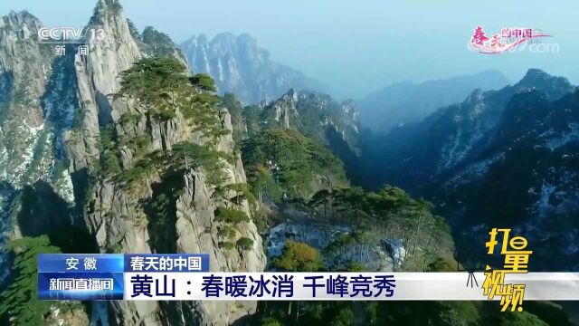 安徽黄山:春暖冰消,千峰竞秀,快来感受“奇山”的巍峨奇峻