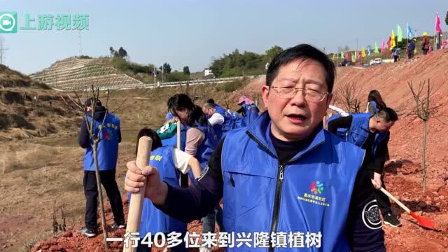 美丽新乡村丨春赏花、秋观叶 植树造林打造南北大道生态景观带