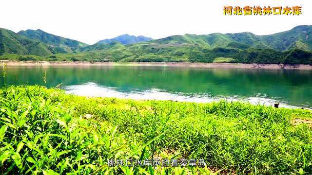 河北省重点水利枢纽工程巡礼——桃林口水库