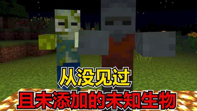 我的世界:从来没见过且未添加的未知生物