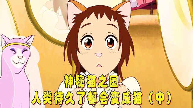 神秘的猫之国,住几天就会变成猫