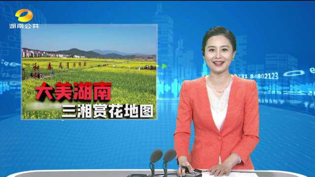 油菜花儿开 三湘等你来:2022湖南油菜花节即将开幕