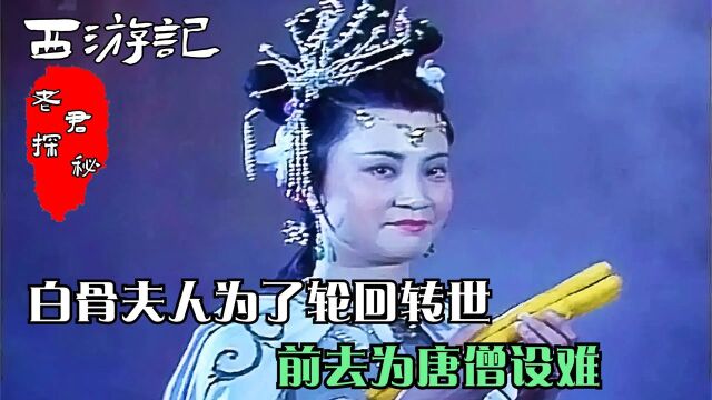 西游记:白骨夫人也是仙神派来的,为了凑足磨难,观音亲自为她做凭证