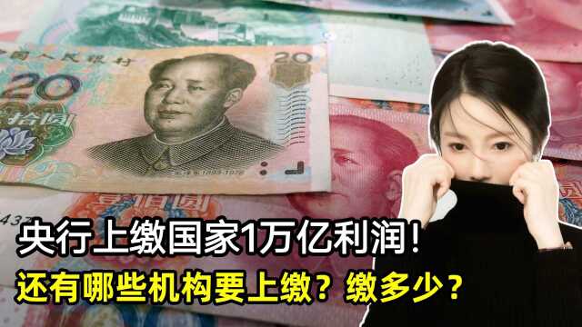 央行上缴1万亿利润!还有哪些机构要向国家上缴利润?该缴多少?