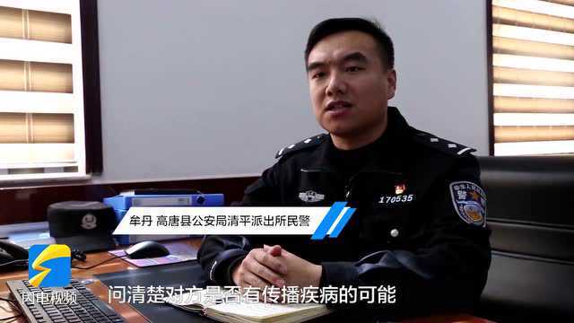 向他们致敬!高唐流调民警与病毒“赛跑”,每人每天要打100多通电话