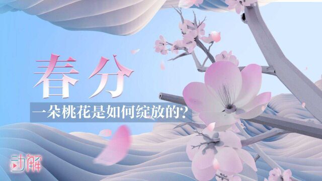 一朵桃花,如何在春分绽放?|万物生长