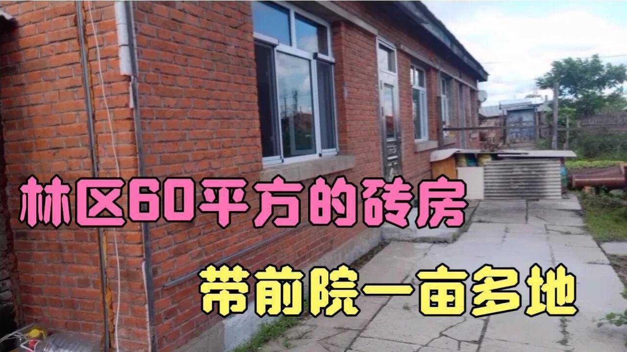 東北林區平房3萬一套,房子60多平方帶前院子一畝地,劃不划算?