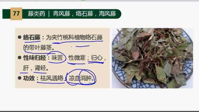 药象各论—藤类药07—青风藤