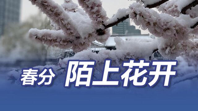 “陌上花开,可缓缓归矣...”此话一出,苏东坡“酸”了