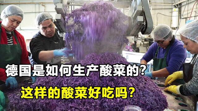 德国酸菜德国人是如何制作“酸菜”的?全自动机械化,看完真是不得不服!