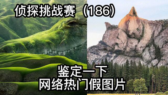 侦探挑战赛(186),鉴定一下网络热门假图片