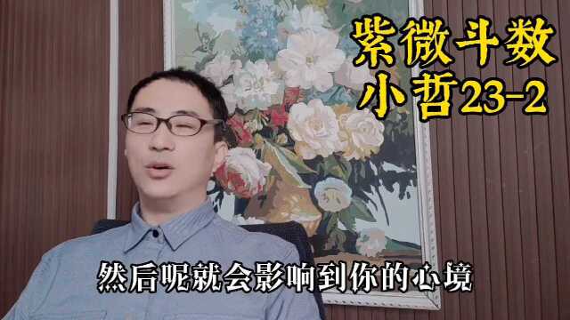 紫微斗数杂谈