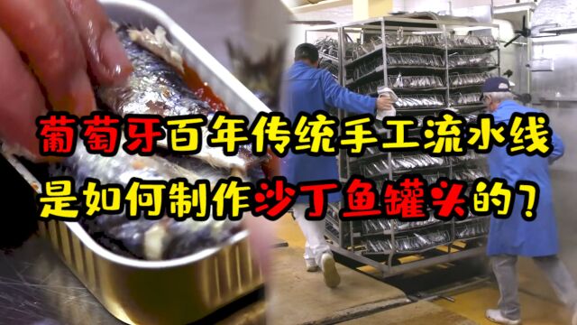 为啥要把沙丁鱼做成罐头?流水线每天生产3万罐,它是如何制作的