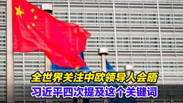 全世界关注中欧领导人会晤,习近平至少四次提及这个关键词