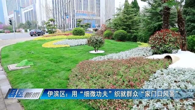 伊滨区:用“细微功夫”织就群众“家门口风景”