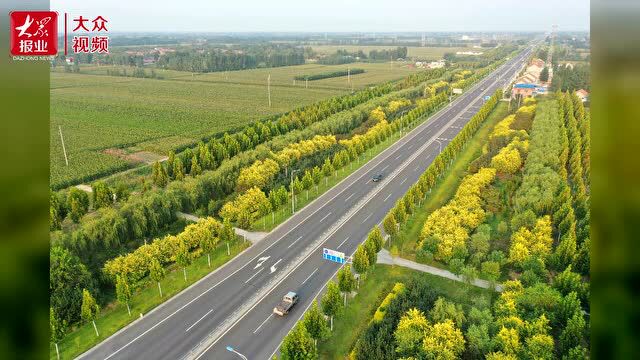 |淄博市公路养护团队当选全国首届“最美公路人”