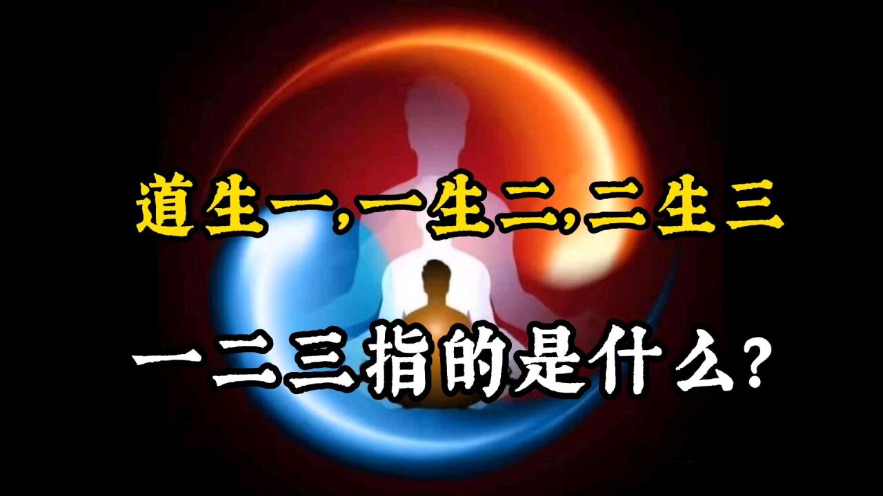 道生一,一生二,二生三.一二三指的是什么?