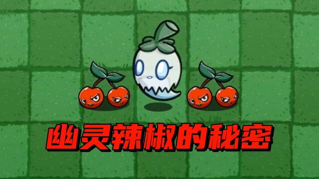 【pvz沙雕配音】关于新植物幽灵辣椒!你不知道的各种秘密?