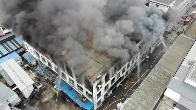 浙江湖州一厂房失火,火场“福尔摩斯”走访发现端倪,7人串供作伪证被行政拘留