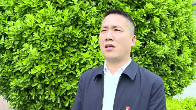 【聚焦双优化 冲刺3000亿】龚场镇:坚持四个“突出” 提升治理质效