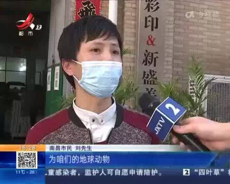 南昌:市民捡到白颈鸦 左脚戴了一只钢环