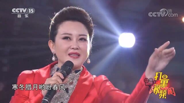 车文演唱歌曲《映山红》,歌声婉转细腻,深入人心