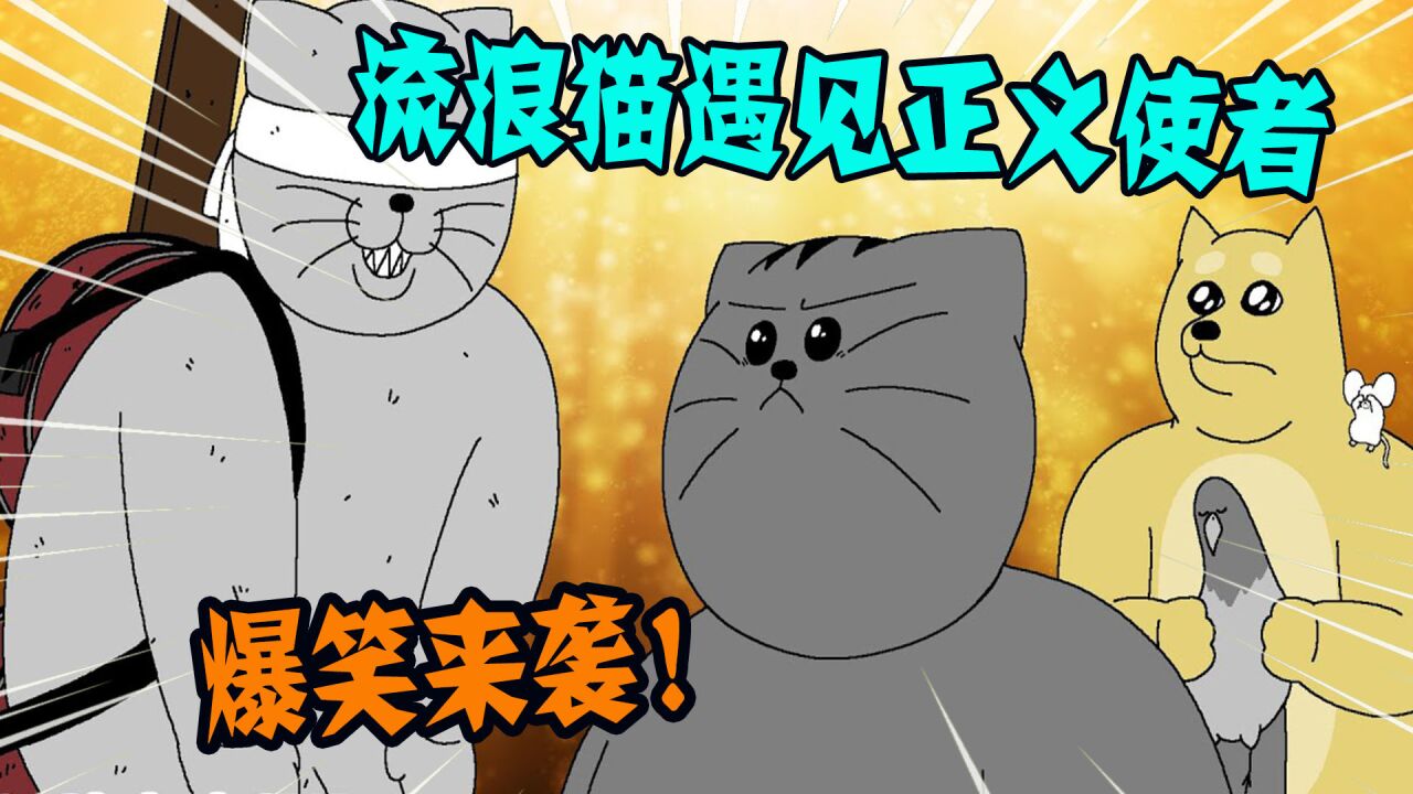 搞笑动画:流浪猫遇见正义的使者,过程爆笑不断!_高清1080P在线观看平台_腾讯视频