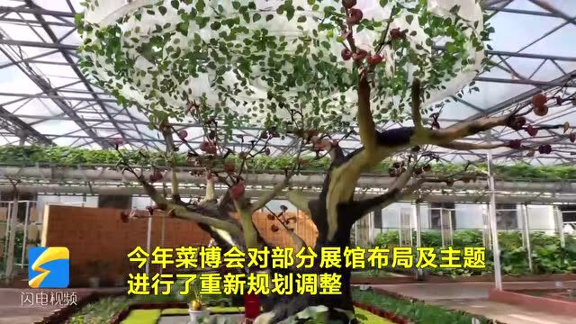 走进寿光菜博会药蔬同源科普馆 感受中医文化魅力