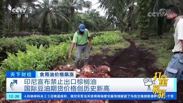 印尼宣布禁止出口棕榈油,国际豆油期货价格创历史新高